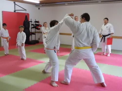 DSCN2156  - komp  - 