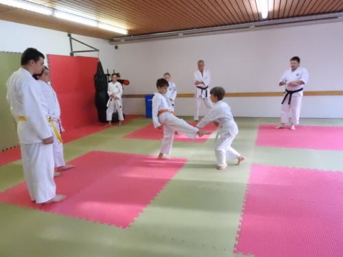 DSCN2159  - komp  - 