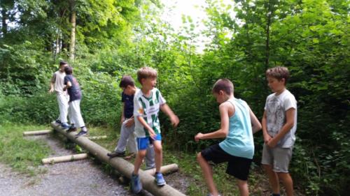 Juni 16 - Waldtraining Kinder