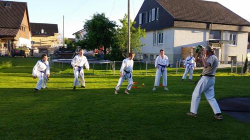 20170517 194229  - komp  - 