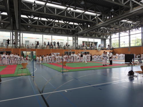DSCN1326  - komp  - 