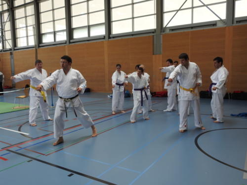 DSCN1365  - komp  - 