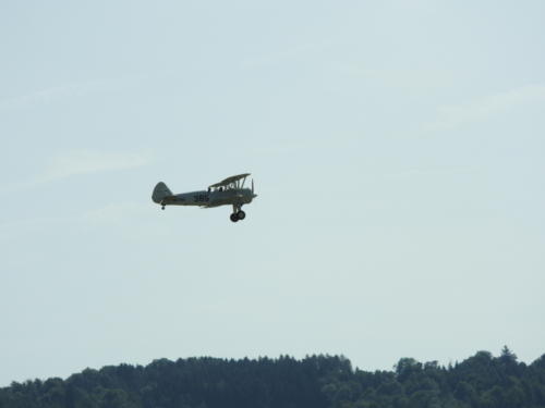DSCN4781  - komp  - 
