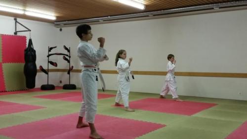 20171129 183103  - komp  - 