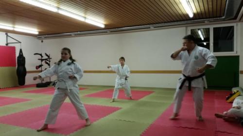 20171129 190230  - komp  - 
